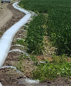 Furrow irrigationpng